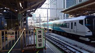 E257系2000番台NA-12編成　東京駅8番線到着　20240226 154837