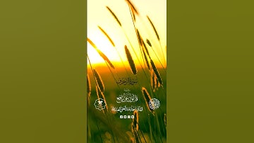 "من سورة الزخرف - مقام الصبا🎧"