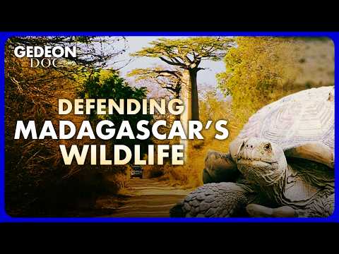SOS Wildlife in Peril : Saving Madagascar’s Biodiversity | GEDEON DOC