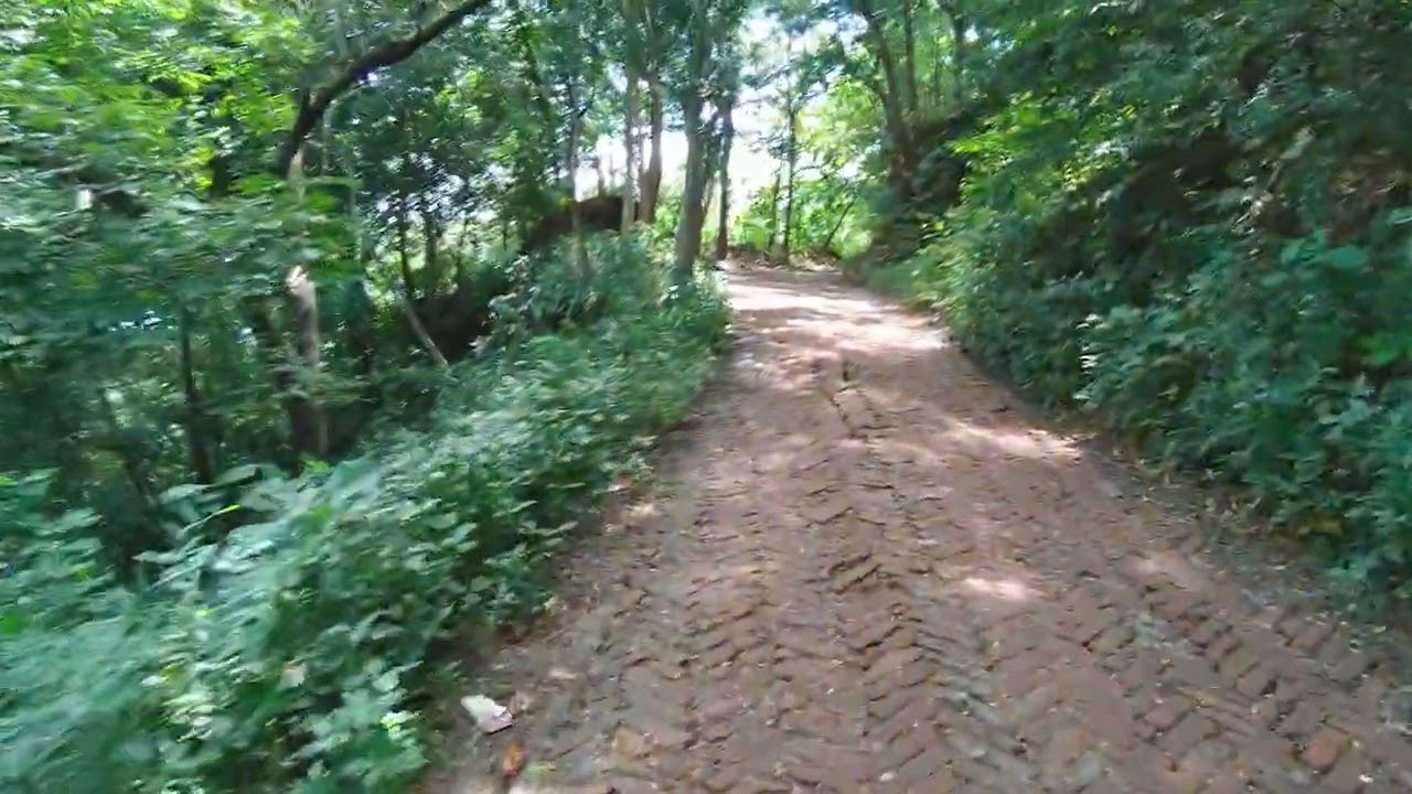 সীতাকুণ্ড ইকোপার্ক 