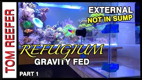 How To Set Up A Simple EXTERNAL GRAVITY FED Refugium (Part 1) The Build