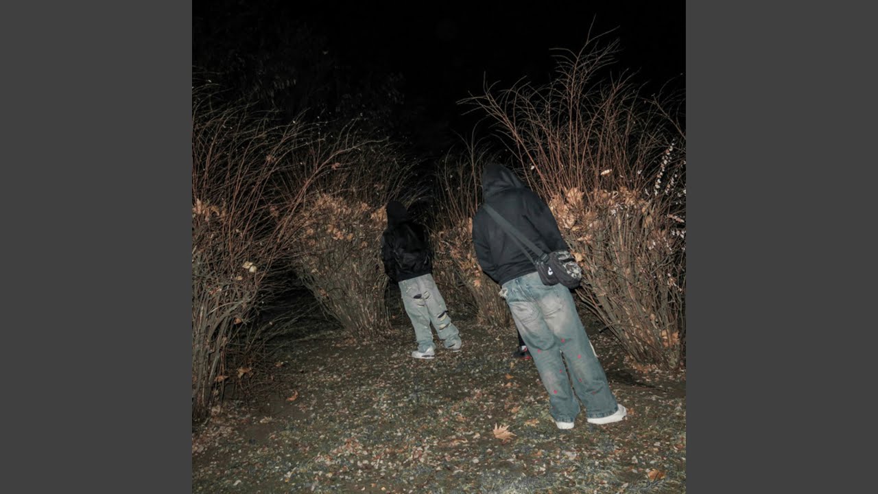 Guarda LANET su YouTube Guarda LANET su YouTube