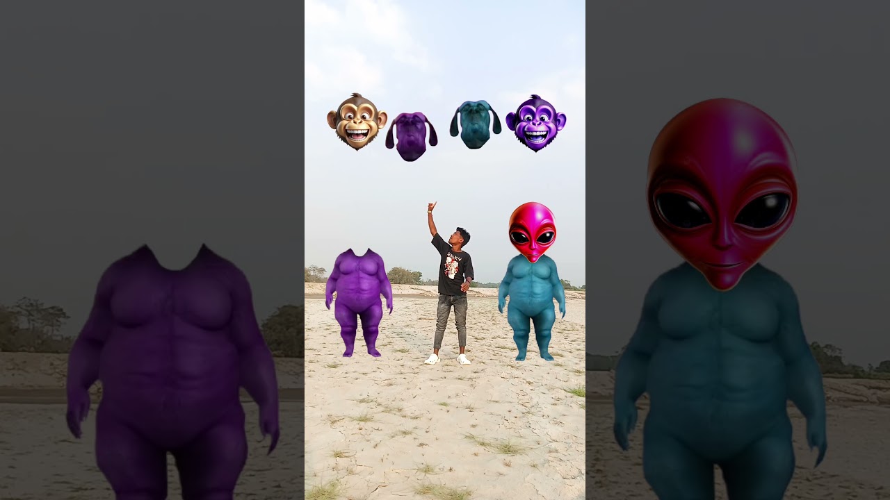 purple,and blue fat dog, and man head matching video