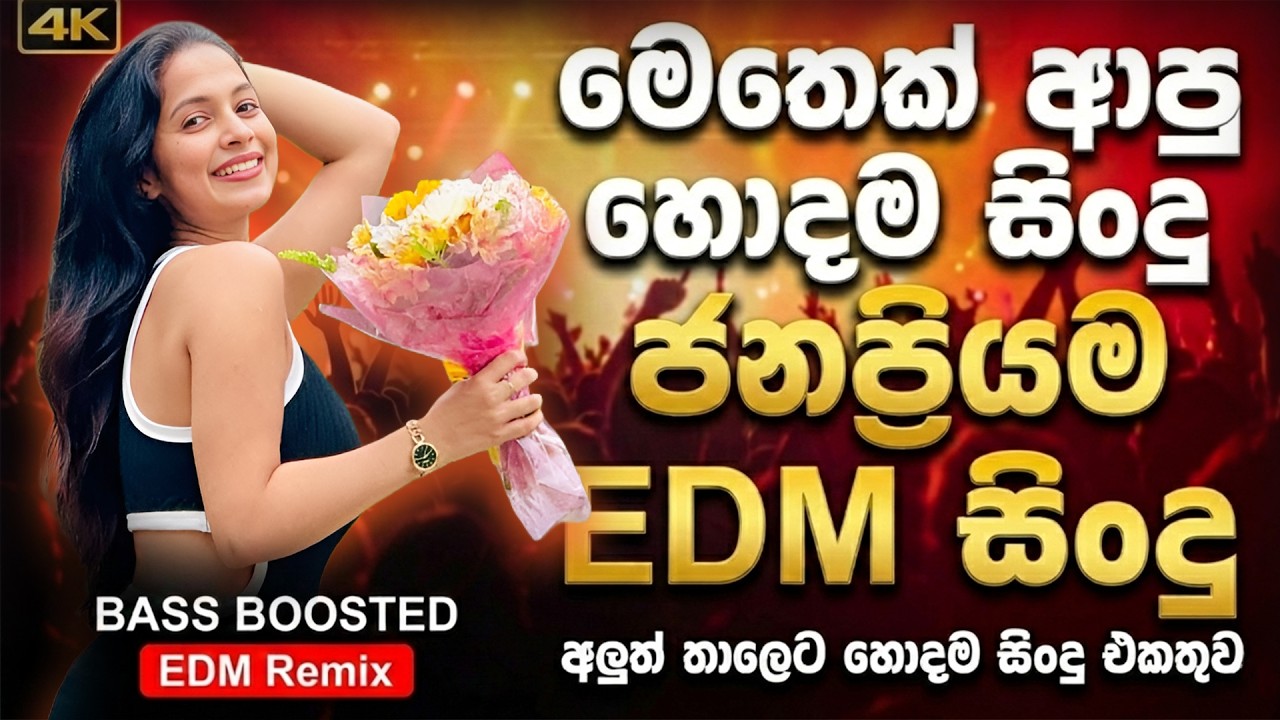 2026 EDM සිංදු Best Sinhala Songs | 2026 ජනප්‍රියම සිංදු | Best Sinhala Songs | E D M Cover