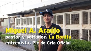 Miguel A.Araujo, Manager, pastor y soltador de Partido La Bonita, entrevista, Pie de Cria Oficial