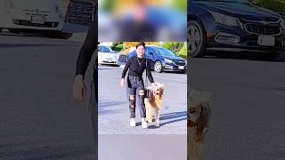 Пёс провожает гостей через дорогу 🥹❤️ #shorts
