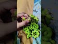 Unique fruit vibes 🍏☺️