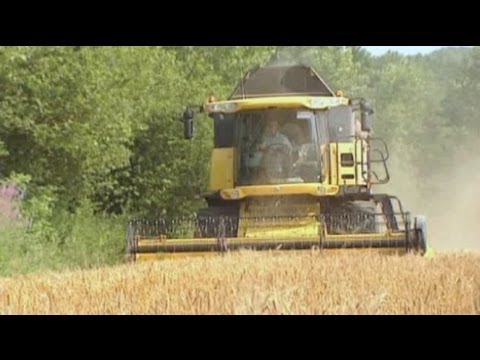 تصویری: اتحادیه اروپا چقدر برای یارانه های کشاورزی هزینه می کند؟