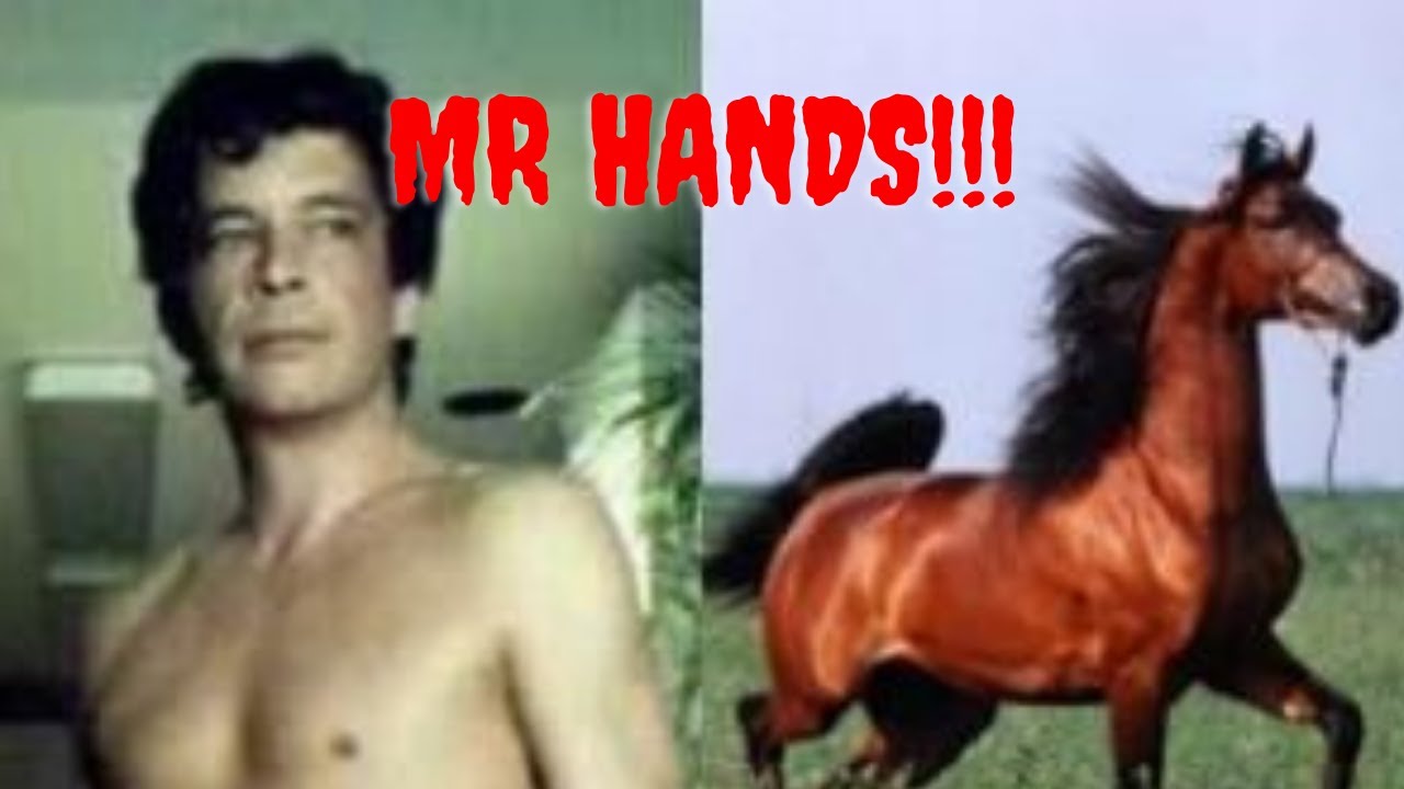 Mr hands porn video