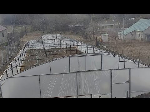 1 სათბური გადახადა მარა ღმერთის მწამს და მიყვარს უფალი ❤❤❤ დიდება მამასა და ძესა და წმიდასა სულსა