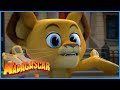 DreamWorks Madagascar | Alex and his twin brother | Madagascar: A Little Wild | Kids Movies