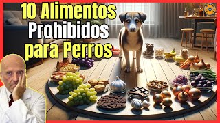 10 ALIMENTOS PROHIBIDOS PARA PERROS