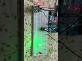 Highly sensitive smoke detector 🚬 #arduinoproject