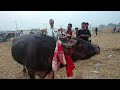 পৰশ মনি মহ//