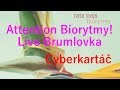 Tata bojs  cyberkart attention biorytmy live brumlovka 14 11 2002  oficiln