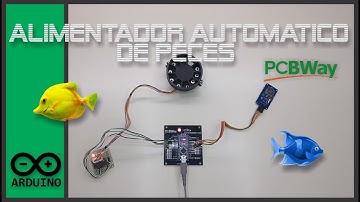 🐟🐠 Como hacer un alimentador automático de peces 🐠🐟