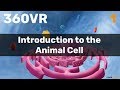 Chapter 1: Introduction to the Animal Cell