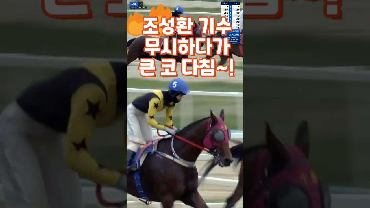 조성환 기수 무시하다, 큰 코 다치신분?😊경마예상💕다크호스경마⚡경마예상👌경마🎈경마장😊경마방송🐎경마예상방송🫏경마하이라이트🥎경마실시간🚩경마예상가🏐경마정보⚾경마공원⚾경마 배팅🏀경마 일정