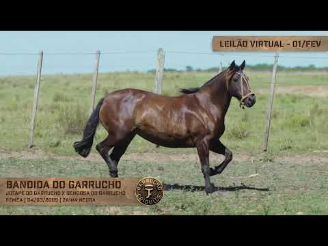 Lote 06 - Bandida do Garrucho