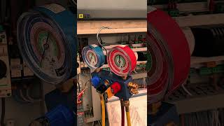 System check of a TRANE chiller ❄️⚙️