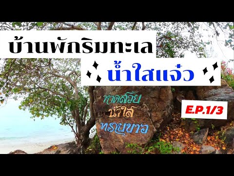 บ้านพักริมทะเลน้ำอย่างใสที่แสมสาร สัตหีบ | ไปดำน้ำที่แสมสาร E.P.1/3