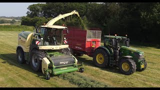 Philip Trims Krone Big X 980 Chopping Grass