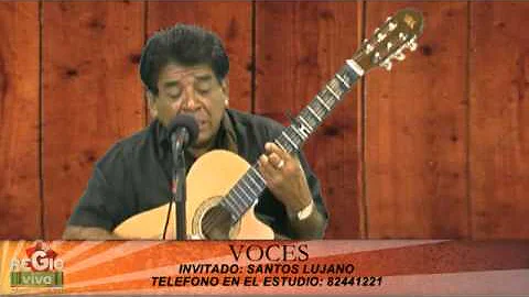 palmeras con Santos Lujano