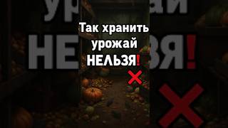 Секреты правильного хранения урожая #огород #сад #урожай #дача #дедплатон
