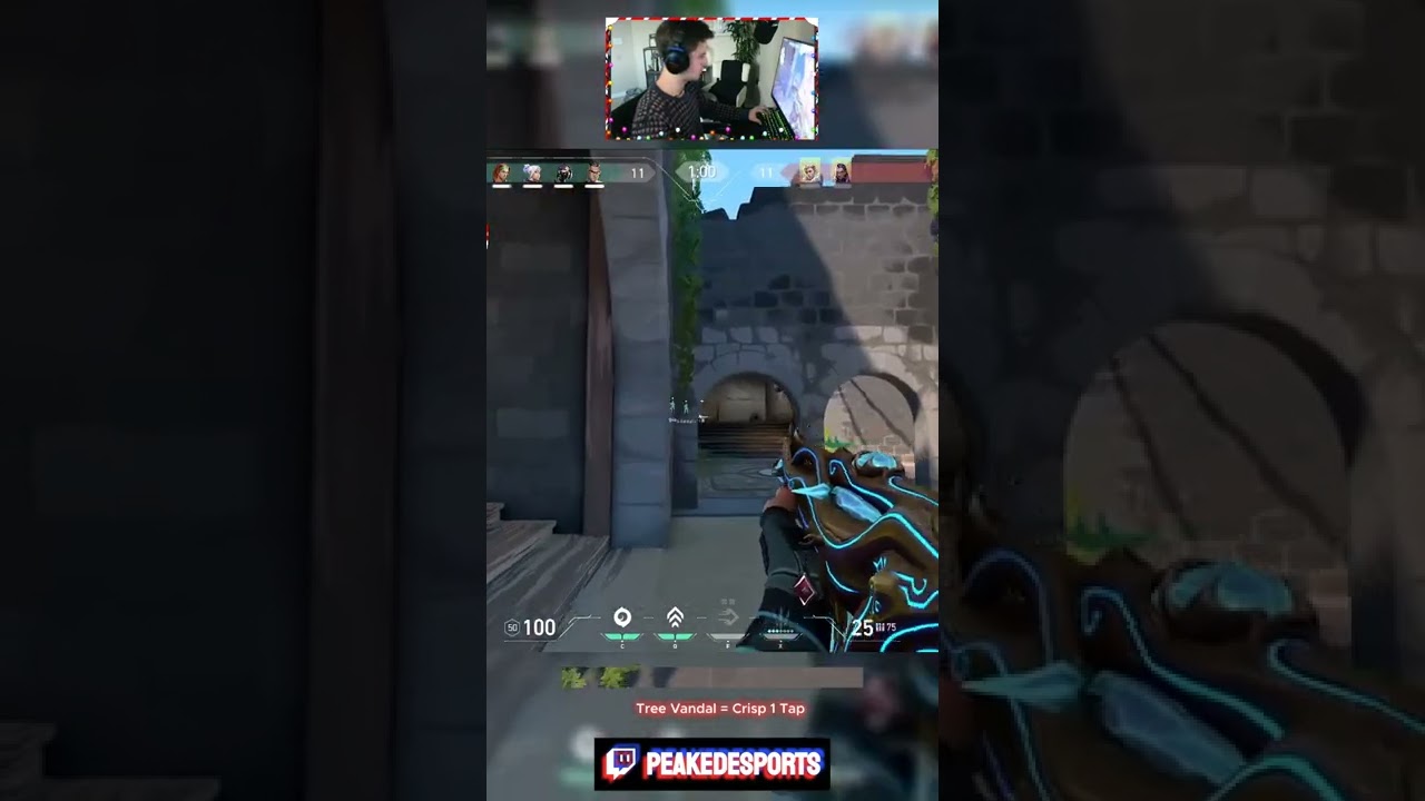 *Tree Vandal = EZ 1 Tap* | Stream Highlights 