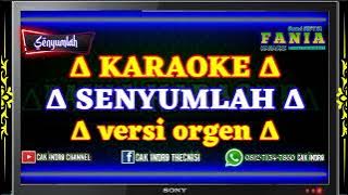 Karaoke senyumlah dik selalu.Versi orgen jernih...!