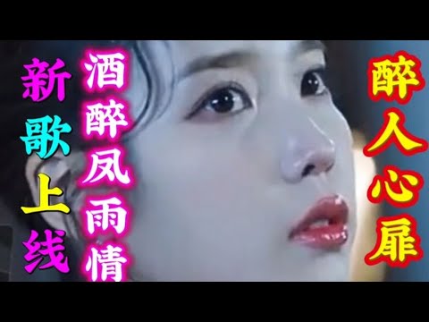 最新DJ版情歌《酒醉风雨情》旋律优美，句句深情，醉人心扉！【清橙影视Y】
