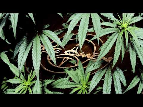 Very Reasonable - Very Weed [Limité Records] (1995)