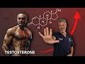 5 conseils pour booster naturellement ta testosterone  ft dr bou jaoudecharlesco 