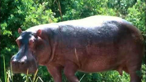 Todays Motivational Message (Jaakko Reupload)