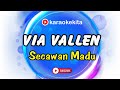 Download Lagu Via Vallen - SECAWAN MADU (Lirik Karaoke Tanpa Vokal) by Karaokekita