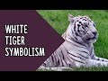 Symbolisme du tigre blanc