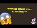 I hatched the circus stack already!!!????