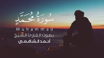 سورة محمد كاملة | تلاوة هادئة خاشعة ❤ | Sura Muhammad بصوت القارئ احمد الشافعي