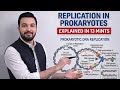 DNA Replication In Prokaryotes #dnareplication #prokaryotes #biology #education #viralvideo