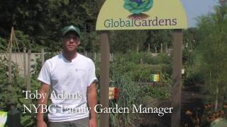 Global Gardens in the Family Garden