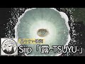 歌詞付き/最新曲【 Siip「露‐TSUYU‐」】#Siip #露 #ガイア #MrsGREENAPPLE #大森元貴 #歌詞付き #karaoke