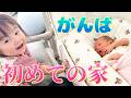【退院日】初めて我が家にやってきた赤ちゃんと迎えてくれた娘の反応が可愛すぎました🥰【新生児Vlog】