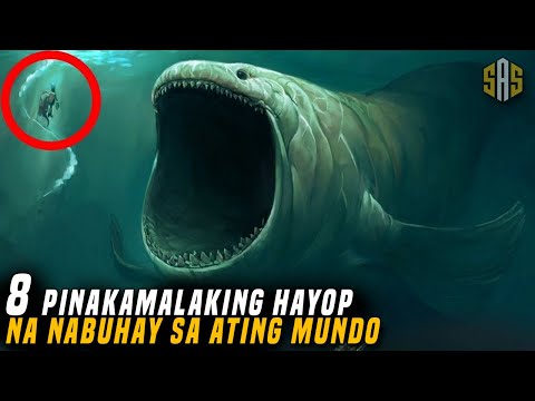 8  PINAKAMALAKING HAYOP NA NABUHAY SA ATING PLANETA