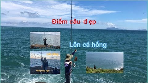 Câu cá biển ngày đẹp trời, cá lớn ăn mạnh ,cá hồng lớn , câu cá biển mũi nghê bàn cờ sơn trà đà nẵng