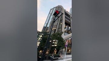 Ginza Street Vibe (Shorts)