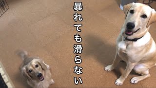 滑り防止にコルクマット敷きました