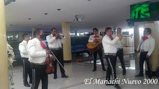 Video thumbnail of "El Mariachi Nuevo 2000 - Así fue"