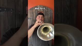 HAWAIIAN COCKTAIL (SAD SPONGEBOB MUSIC) . . #like #trombone #spongebob, hawaiian coconut spongebob trumpet