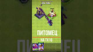 🦊 Тх16: Новый Питомец - Призрачная Лиса В Клеш Оф Кленс | Клео Clash Of Clans