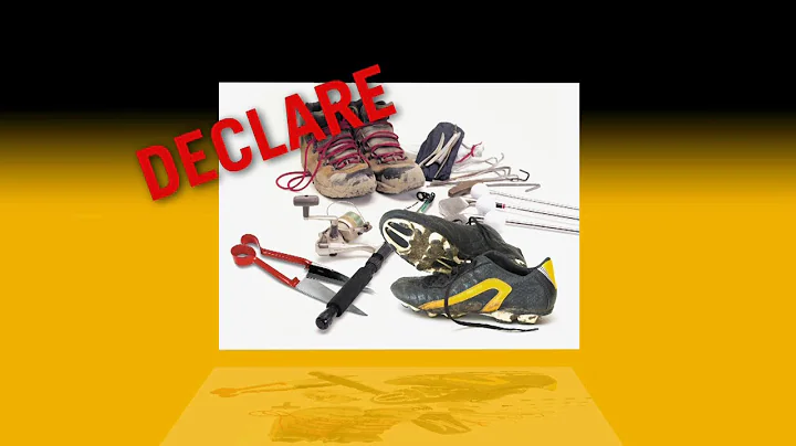 MPI biosecurity (declare or dispose) cruise ship video (English with Spanish subtitles)